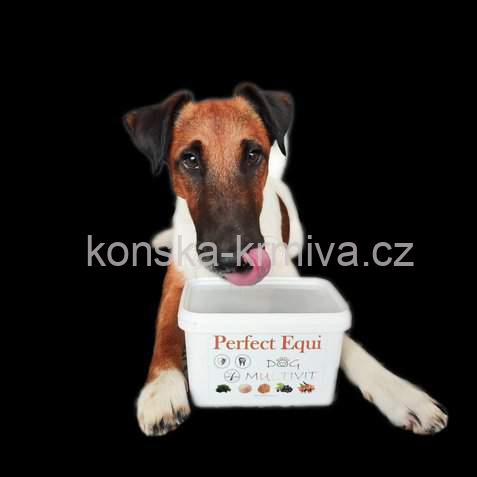 Perfect Equi DOG MULTIVIT 600g
